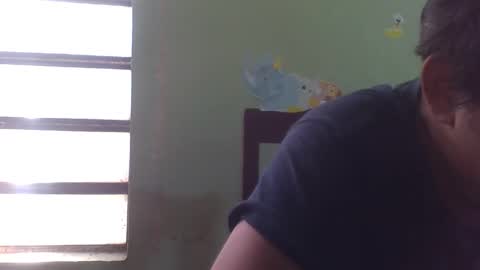 lpmauriciosantamaria online show from December 5, 2025, 4:58 pm