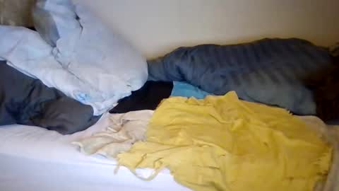 lu485947452685 online show from December 19, 2025, 6:48 pm