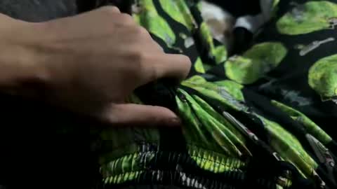 lu495400 online show from January 26, 2025, 3:06 am