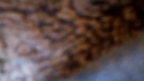 lubestroker4us online show from February 14, 2026, 5:32 pm