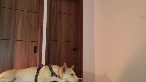 Luci y Fer online show from September 9, 2025, 1:49 am