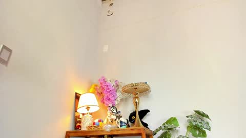 Snapshot of lucian_davii chatting on July 6, 2026, 3:03 pm Pirulo online show from July 6, 2026, 3:03 pm