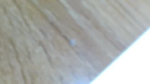 Lucie   online show from December 13, 2024, 12:31 am