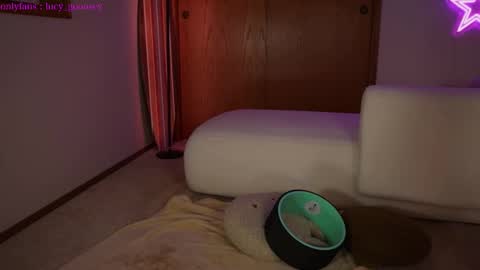 Snapshot of lucy_gooosey chatting on February 3, 2025, 4:57 am Lucy. online show from February 3, 2025, 4:57 am