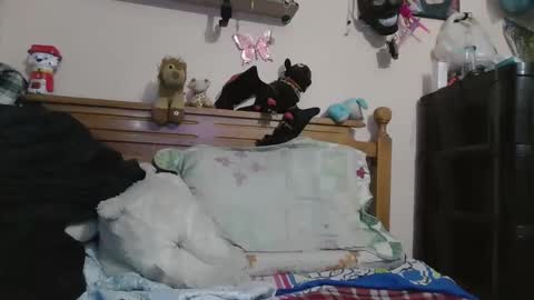 luismiastarot online show from October 28, 2025, 1:53 am