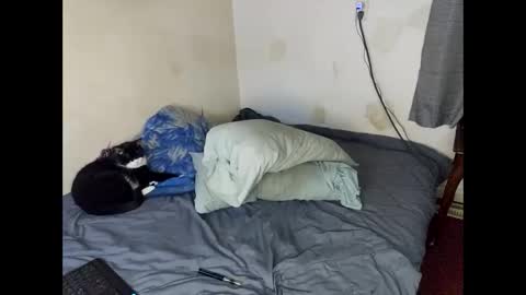 Snapshot of lukeandali23 chatting on February 1, 2025, 3:30 am Lukeandali420 online show from February 1, 2025, 3:30 am