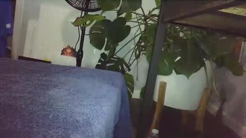 Luke online show from February 14, 2026, 9:00 pm