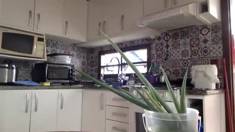 Snapshot of luksmen1 chatting on February 18, 2025, 4:05 pm lucifer online show from February 18, 2025, 4:05 pm