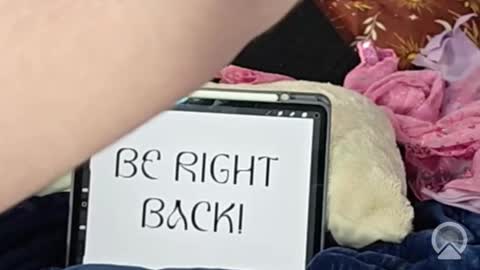 Lunar Fae Stellaris online show from February 13, 2026, 2:46 pm