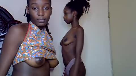 lutino_lovebirds online show from March 14, 2026, 11:15 am