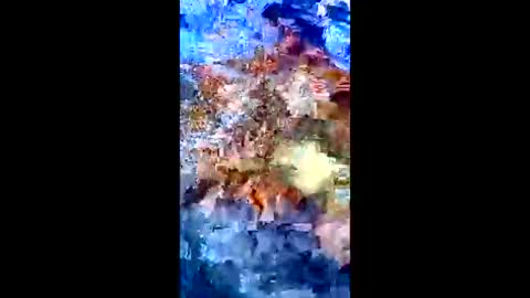 Peter Jacksone online show from January 10, 2026, 8:54 pm