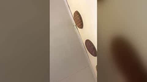 luxvietes online show from January 17, 2026, 11:48 am