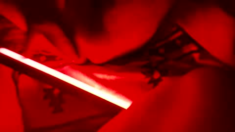 lyinonme online show from October 24, 2025, 12:01 pm