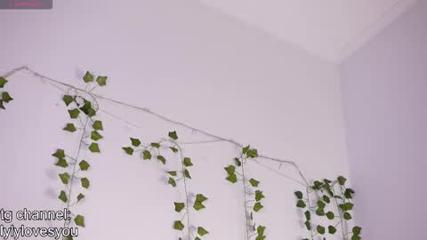 Lyly   online show from November 24, 2025, 5:40 am