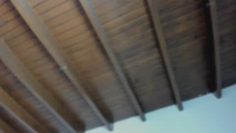 Lynda online show from February 8, 2026, 4:49 am