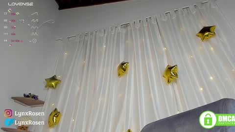 Lynx Rosen online show from January 11, 2025, 4:06 am