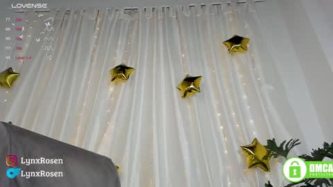 Lynx Rosen online show from January 18, 2025, 12:13 am