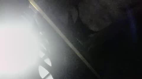 SLoppYxXPeeHoLeXxGspotxX online show from April 3, 2026, 3:48 am