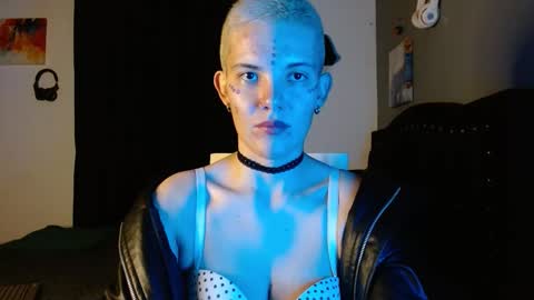 Snapshot of mackenziemoon chatting on November 30, 2025, 12:25 am Noah Askew online show from November 30, 2025, 12:25 am