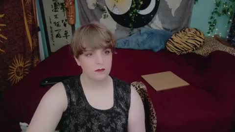 Maddy Cat online show from October 27, 2025, 4:22 pm