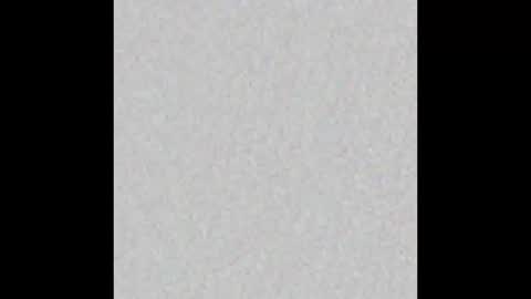 Madison   online show from March 26, 2026, 1:38 pm