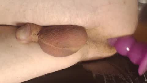 maestro2017 online show from March 7, 2025, 11:49 pm