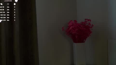 Snapshot of maidabuoy chatting on February 12, 2025, 5:05 am Lucy online show from February 12, 2025, 5:05 am