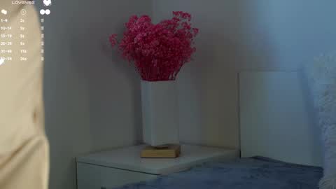 Snapshot of maidabuoy chatting on February 12, 2025, 8:06 am Lucy online show from February 12, 2025, 8:06 am