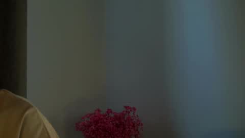 Snapshot of maidabuoy chatting on February 18, 2025, 4:26 am Lucy online show from February 18, 2025, 4:26 am