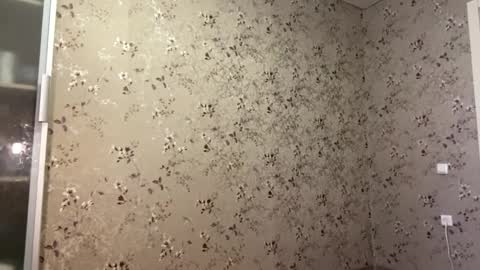 DIna online show from April 9, 2026, 2:11 pm