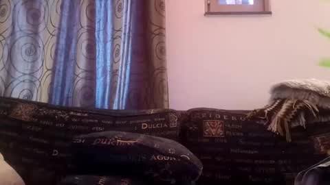 majorxoxo online show from November 26, 2025, 7:31 am