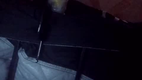 makeunumb88 online show from March 20, 2026, 6:51 am