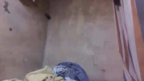 malalazah online show from March 8, 2026, 6:06 am