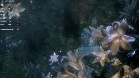 piu online show from March 26, 2026, 5:51 pm