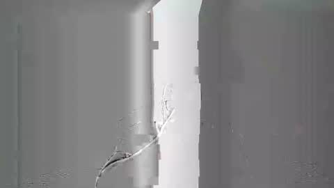 breton online show from February 4, 2026, 8:20 am