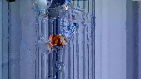 maluma1981 online show from December 22, 2024, 1:34 am