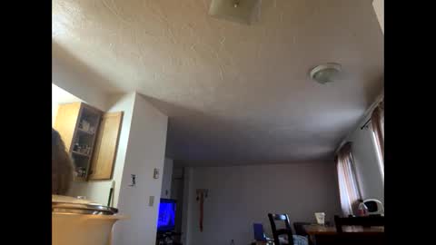 mamaboozey online show from March 1, 2026, 10:01 pm