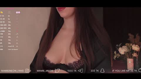 Snapshot of mamiemeow chatting on January 30, 2025, 3:51 pm Your Miss Alice online show from January 30, 2025, 3:51 pm