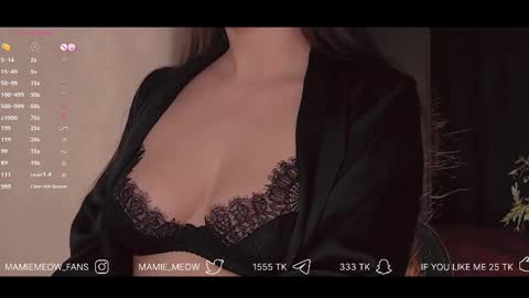 Snapshot of mamiemeow chatting on February 10, 2025, 4:58 pm Your Miss Alice online show from February 10, 2025, 4:58 pm