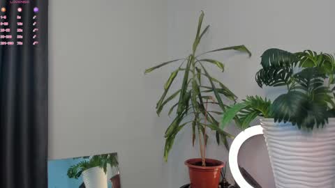 Snapshot of manita_misti chatting on May 5, 2026, 10:01 am Manita online show from May 5, 2026, 10:01 am
