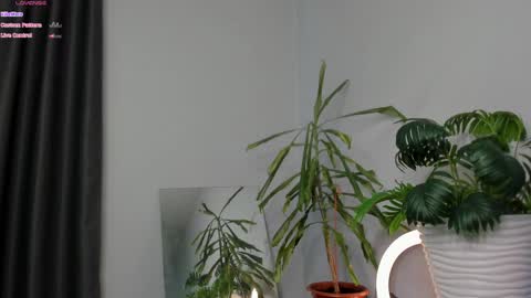 Snapshot of manita_misti chatting on May 8, 2026, 9:25 am Manita online show from May 8, 2026, 9:25 am