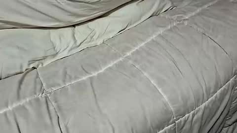 Snapshot of manlymanson chatting on November 17, 2025, 8:42 am Dickinabox online show from November 17, 2025, 8:42 am