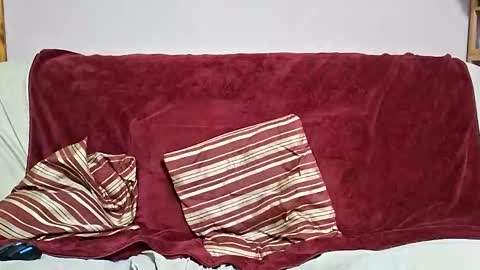 Snapshot of manlymanson chatting on February 4, 2026, 2:23 pm Dickinabox online show from February 4, 2026, 2:23 pm