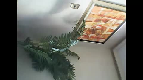 manu_481 online show from March 7, 2025, 6:54 pm