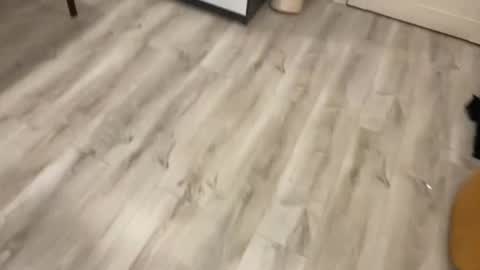 alex marvelxx online show from February 5, 2026, 6:12 pm