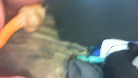 Marc online show from January 1, 2025, 10:35 pm