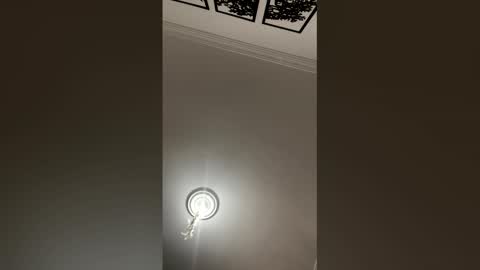 Mar y online show from February 25, 2026, 2:27 pm