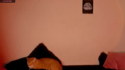mariana williams online show from February 22, 2025, 1:00 am