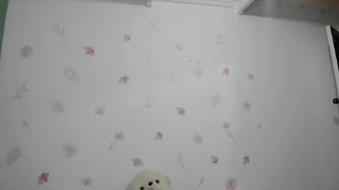 700 pm Washington time online show from March 6, 2025, 2:09 am