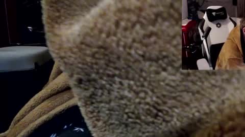 markass87 online show from April 4, 2026, 12:53 am